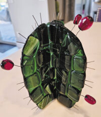 Barrel cactus by Janet Krummann