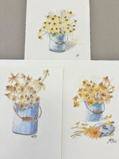 Wednesday afternoon colored pencil drawings