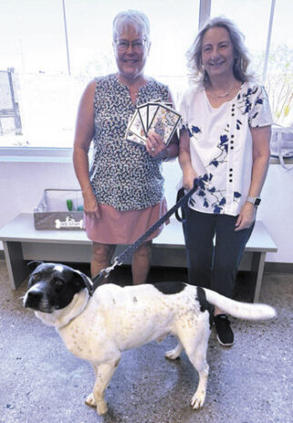 Presenting cards at Pinal County Animal Care and Control